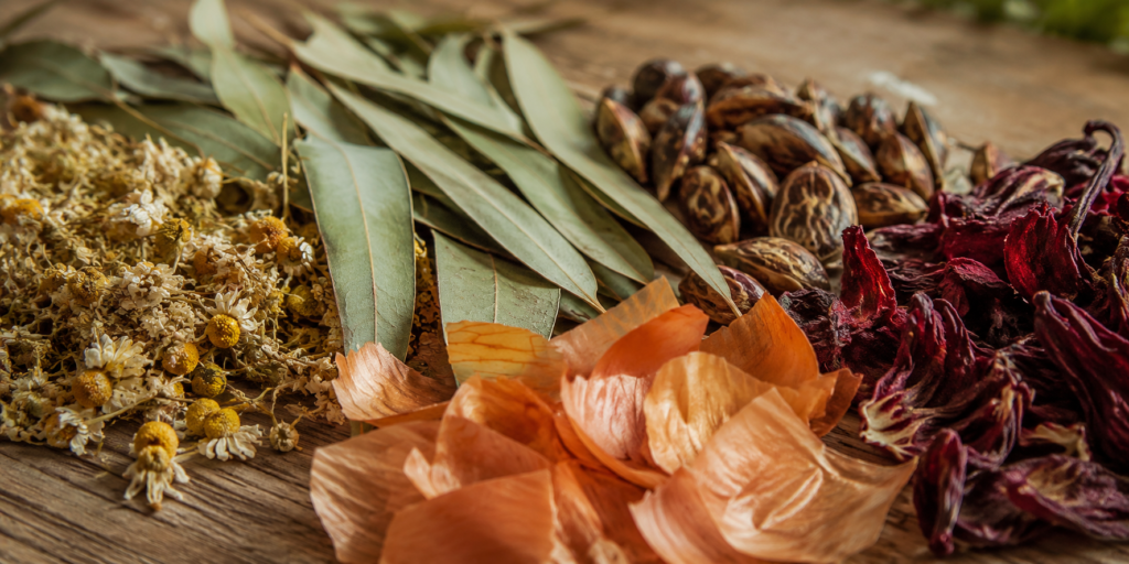 cursos de tintes naturales